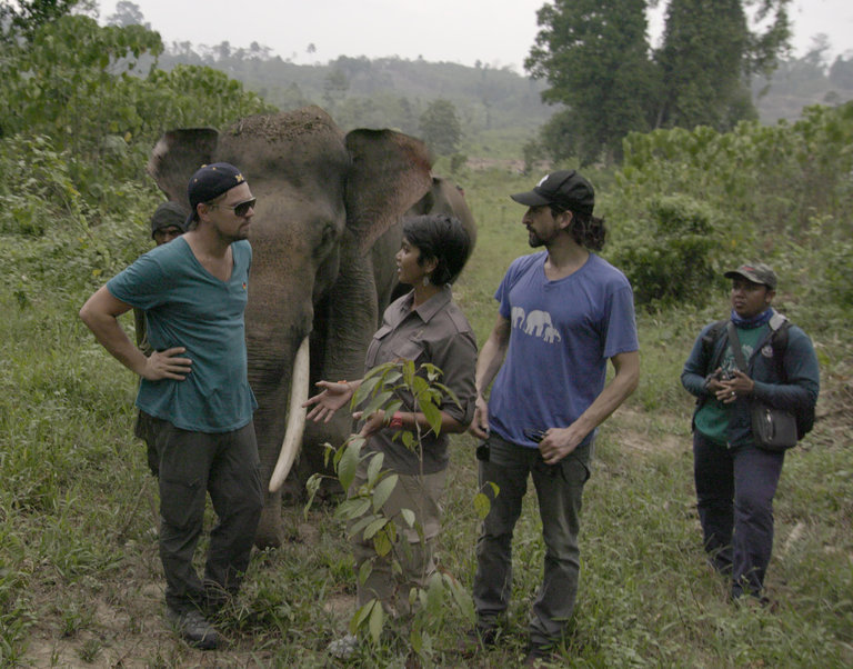 Leonardo DiCaprio produced NatGeo's Before the Flood, which includes a score by Atticus Ross, Trent Reznor and Gustavo Santolalla. (Photo courtesy National Geographic Channel)